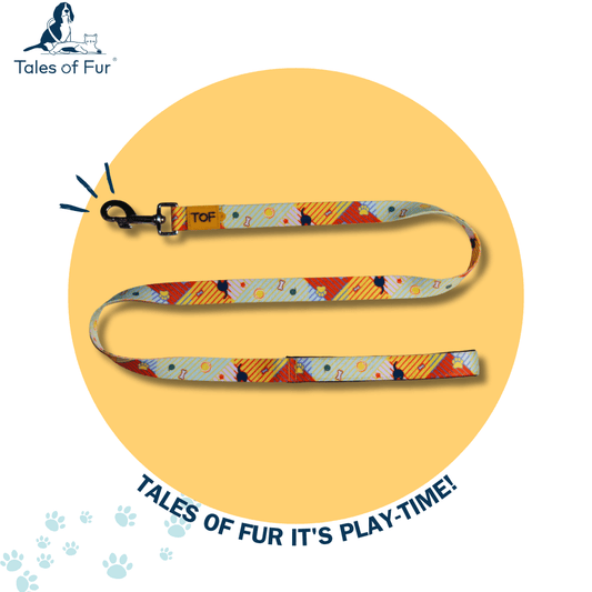 Tales of Fur Elemental Snap Hook Leash with padded handle Large - Natural Pet Treats - Tales Of Fur