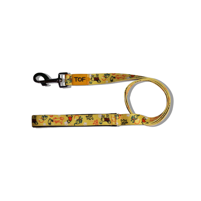 Tales of Fur It's Play-time! Snap hook leash with padded handle Small