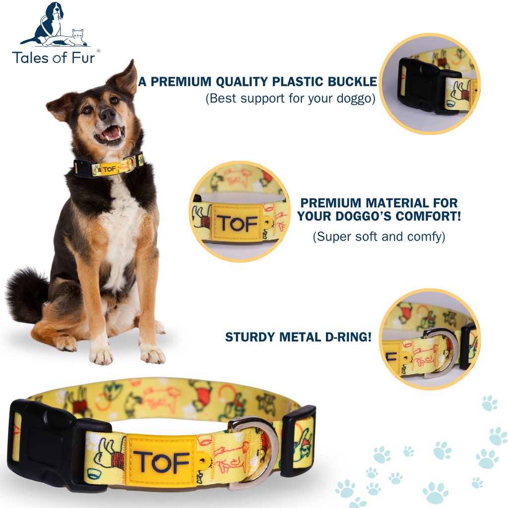 Tales of Fur It's Play-time! Plastic buckle collar with metal D-Ring Large