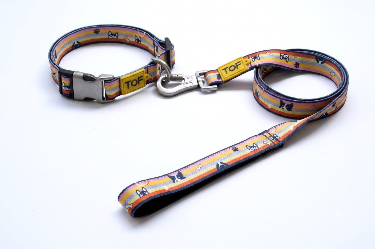 Tales of Fur Prism Premium metal collar with D-Ring Large - Natural Pet Treats - Tales Of Fur