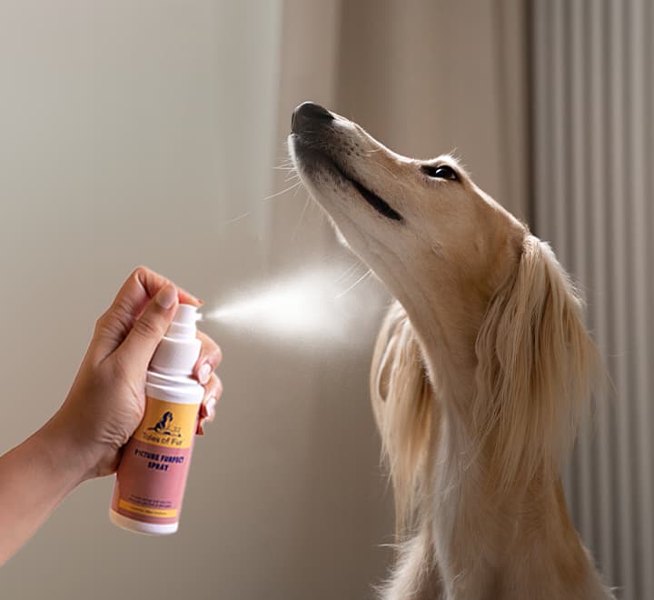 Floral Freshness Deodorants - Natural Pet Treats - Tales Of Fur