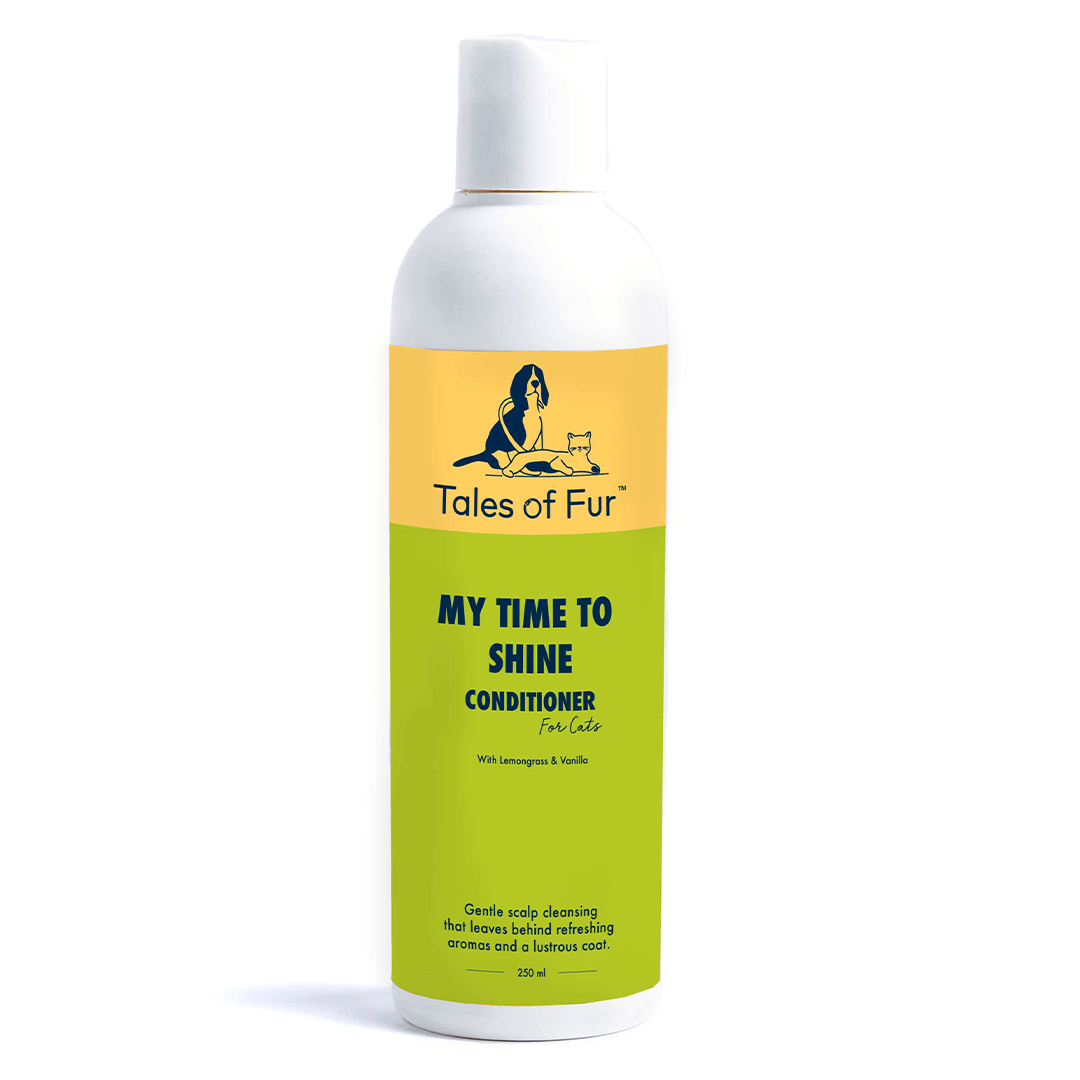 My Time To Shine Conditioner