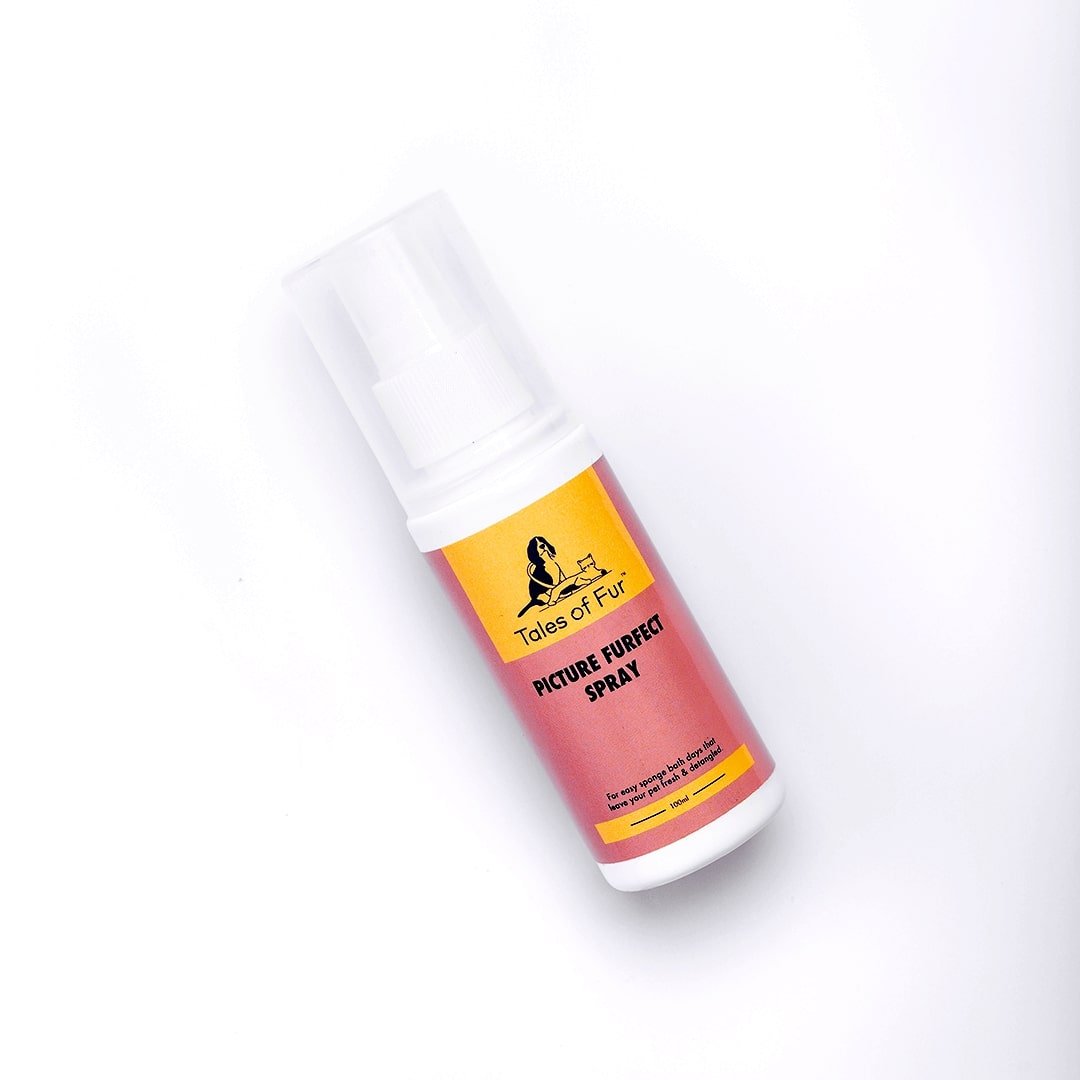 Picture Furfect Spray - Natural Pet Treats - Tales Of Fur