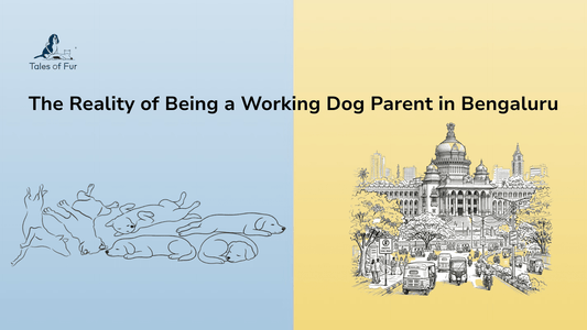 The Reality of Being a Working Dog Parent in Bengaluru - Tales Of Fur