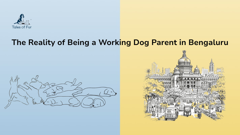 The Reality of Being a Working Dog Parent in Bengaluru