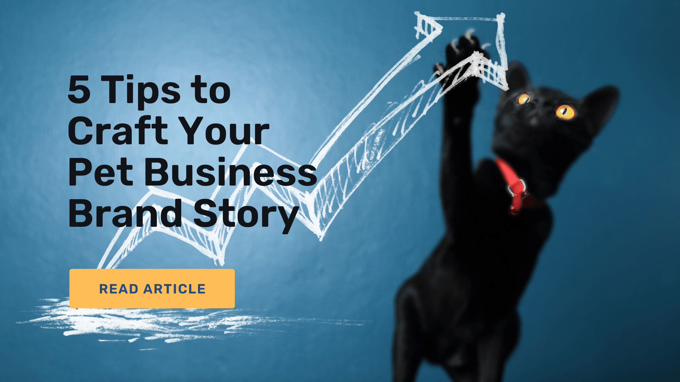 5 Tips to Craft Your Pet Business Brand Story