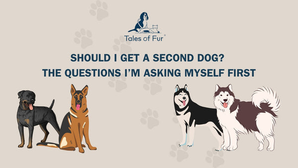 Should I Get a Second Dog? The Questions I’m Asking Myself First