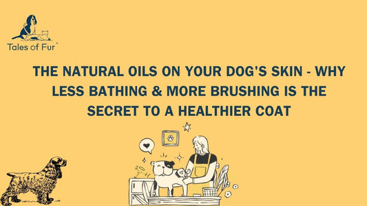 The Natural Oils on Your Dog’s Skin — Why Less Bathing & More Brushing Is the Secret to a Healthier Coat - Tales Of Fur