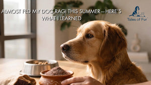 Almost Fed My Dog Ragi This Summer—Here’s What I Learned - Tales Of Fur