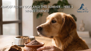 Almost Fed My Dog Ragi This Summer—Here’s What I Learned