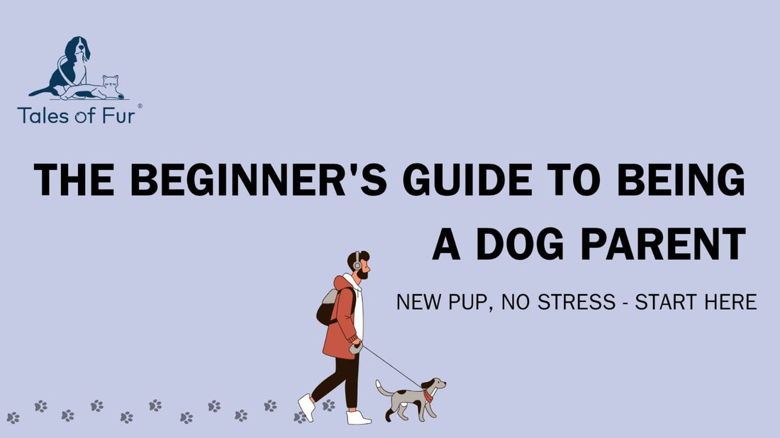 First-Time Dog Owner? Here’s Your Starter Pack 🐾 - Tales Of Fur