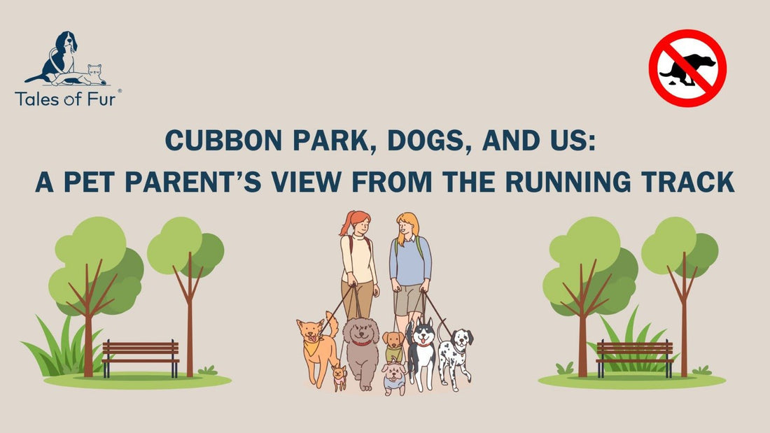 Cubbon Park, Dogs, and Us: A Pet Parent’s View from the Running Track - Tales Of Fur