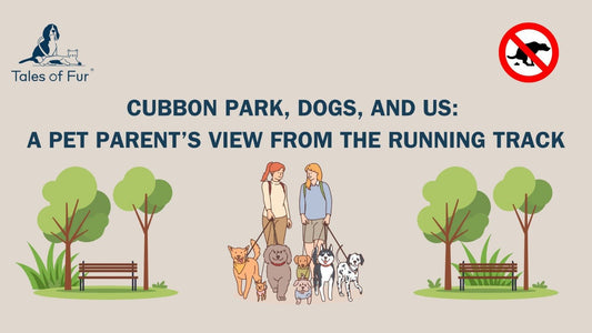 Cubbon Park, Dogs, and Us: A Pet Parent’s View from the Running Track - Tales Of Fur