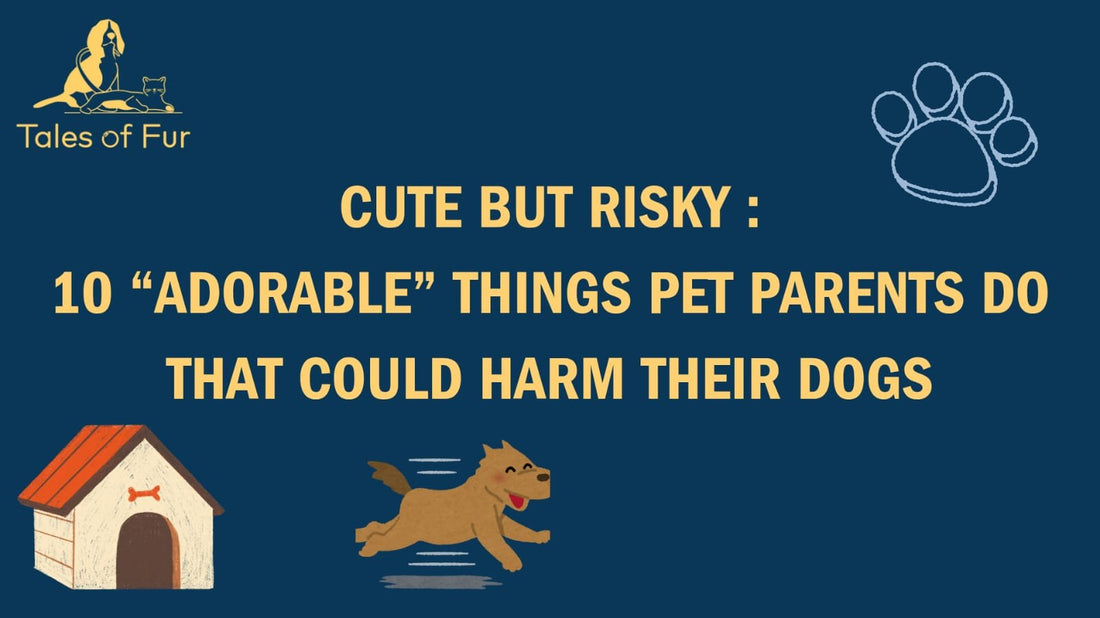 📸 Cute But Risky: 10 “Adorable” Things Pet Parents Do That Could Harm Their Dogs - Tales Of Fur