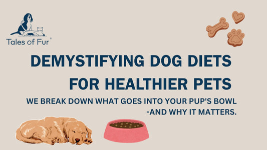 🍽 Kibble, Kale, or Chicken? Demystifying Dog Diets for Healthier Pets - Tales Of Fur