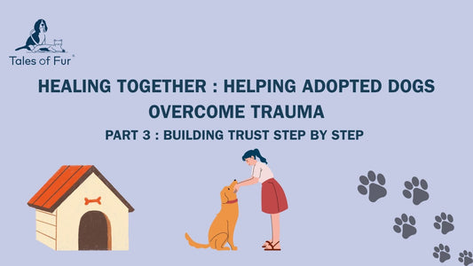 Healing Together: Helping Adopted Dogs Overcome Trauma - Tales Of Fur