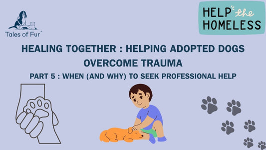 Healing Together: Helping Adopted Dogs Overcome Trauma - Tales Of Fur