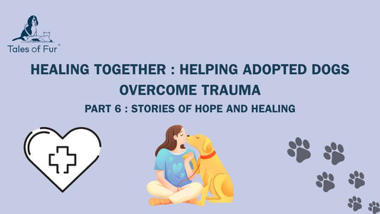 Healing Together: Helping Adopted Dogs Overcome Trauma - Tales Of Fur