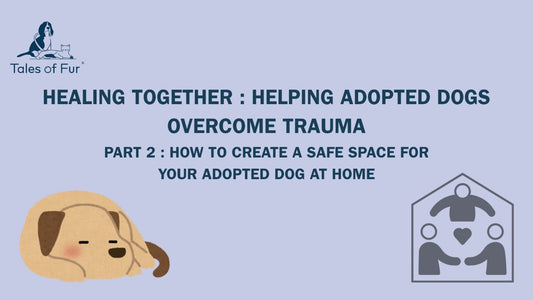 Healing Together: Helping Adopted Dogs Overcome Trauma - Tales Of Fur