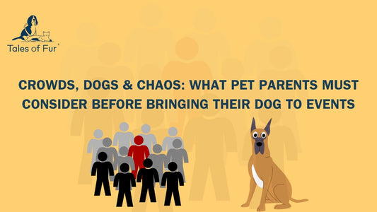Crowds, Dogs & Chaos: What Pet Parents Must Consider Before Bringing Their Dog to Events - Tales Of Fur