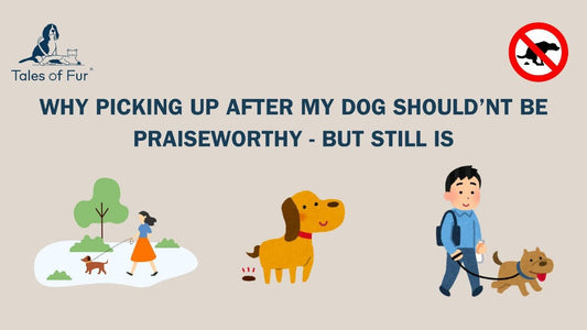Why Picking Up After My Dog Shouldn’t Be Praiseworthy — But Still Is - Tales Of Fur