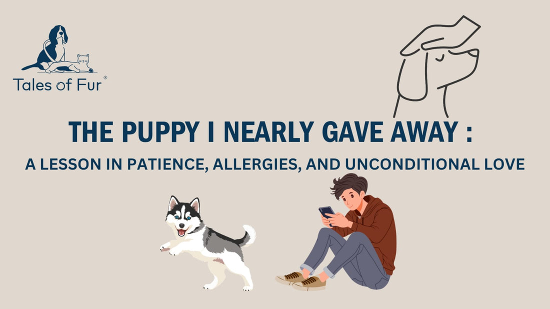 The Puppy I Nearly Gave Up: A Lesson in Patience, Allergies, and Unconditional Love - Tales Of Fur
