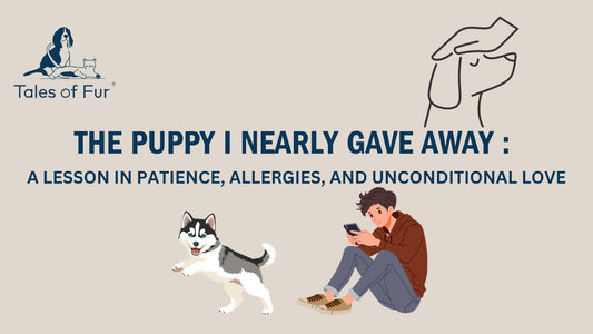 The Puppy I Nearly Gave Up: A Lesson in Patience, Allergies, and Unconditional Love - Tales Of Fur