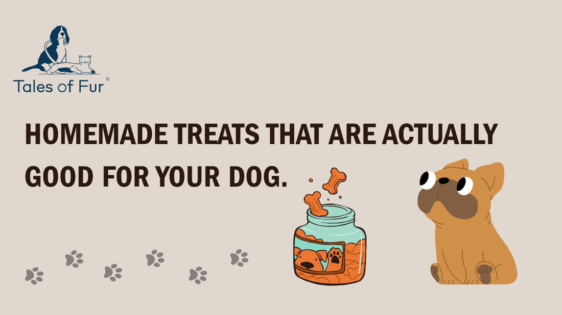 🦴 Homemade Treats That Are Actually Good for Your Dog - Tales Of Fur