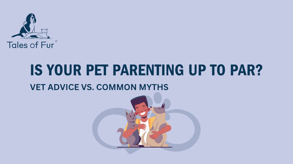 Is Your Pet Parenting Up to Par? Vet Advice vs. Common Myths