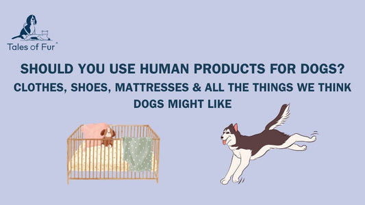 Should You Use Human Products for Dogs? Clothes, Shoes, Mattresses & All the Things We Think Dogs Might Like - Tales Of Fur