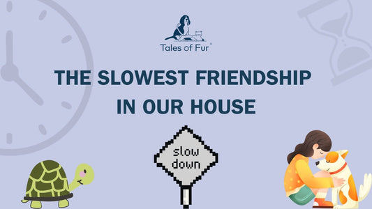 The Slowest Friendship in Our House - Tales Of Fur