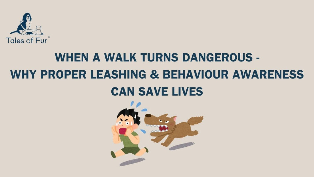 When a Walk Turns Dangerous: Why Proper Leashing & Behaviour Awareness Can Save Lives - Tales Of Fur