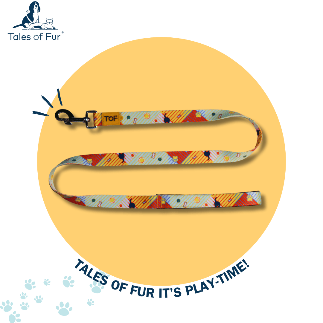 Tales of Fur Elemental Snap Hook Leash with padded handle Large - Natural Pet Treats - Tales Of Fur