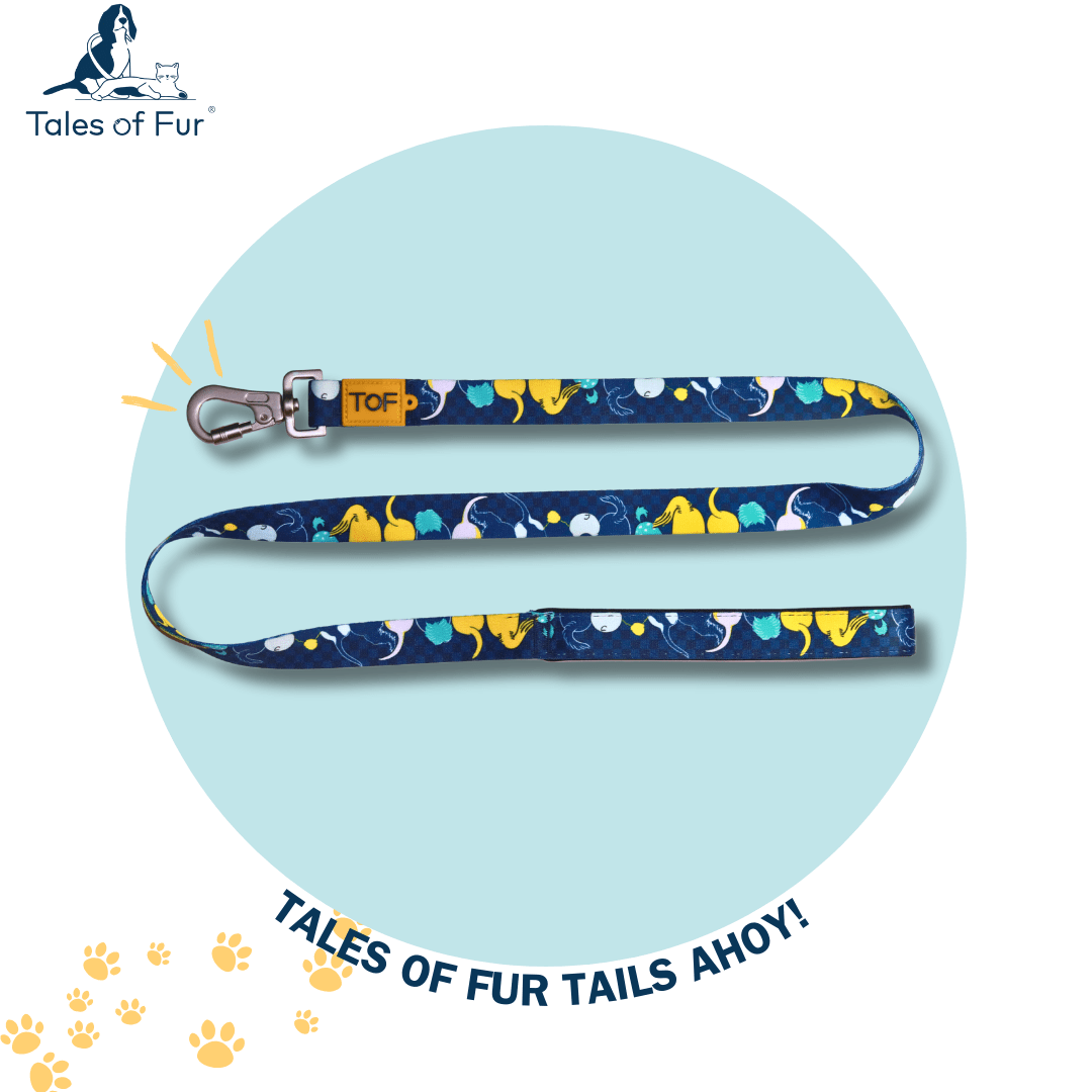 Tales of Fur Tails Ahoy! Premium carabiner leash with padded handle Small - Natural Pet Treats - Tales Of Fur