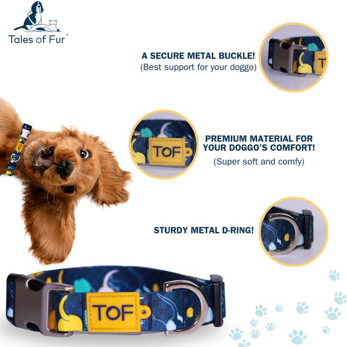 Tales of Fur Tails Ahoy! Premium metal collar with D-Ring Large