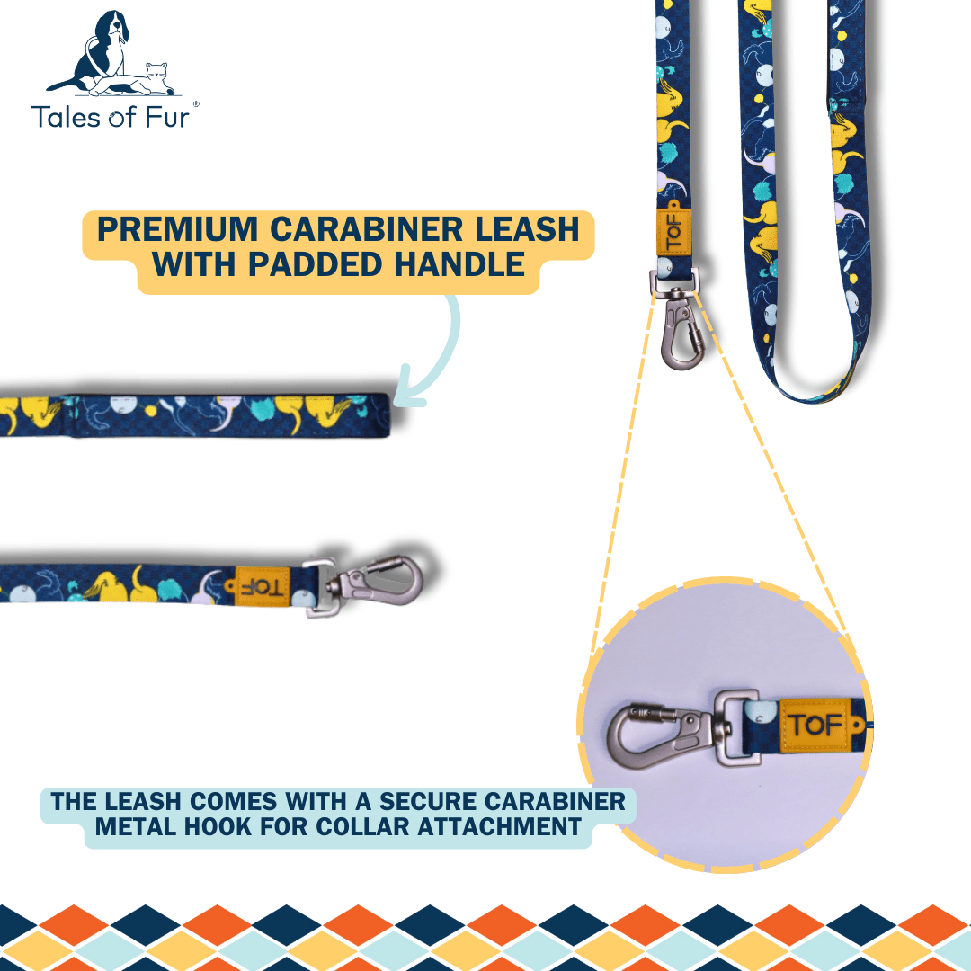 Tales of Fur Tails Ahoy! Premium carabiner leash with padded handle Small - Natural Pet Treats - Tales Of Fur
