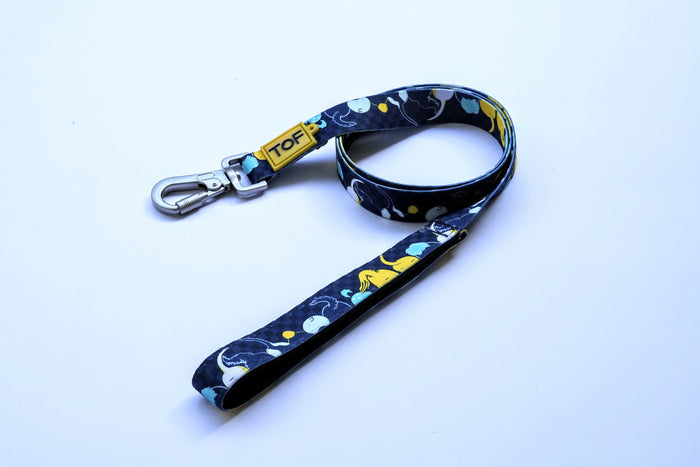 Tales of Fur Tails Ahoy! Premium carabiner leash with padded handle Large
