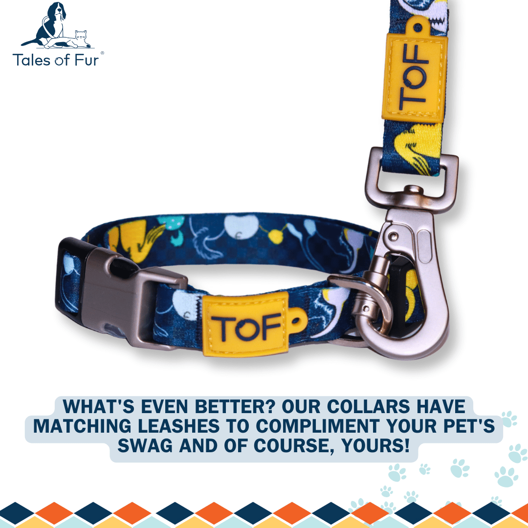 Tales of Fur Tails Ahoy! Premium metal collar with D - Ring Large - Natural Pet Treats - Tales Of Fur