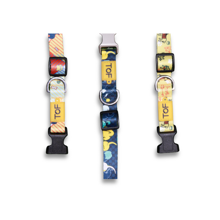 Tales of Fur Tails Ahoy! Premium metal collar with D-Ring Large