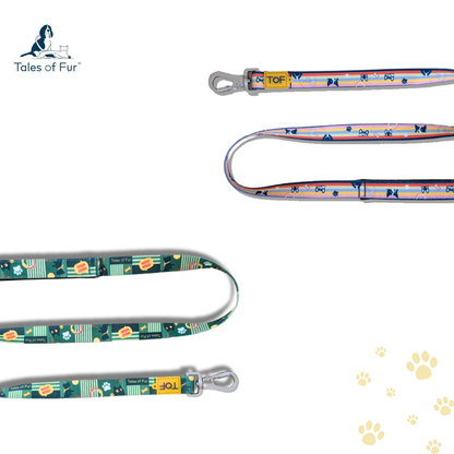 Tales of Fur Prism Premium carabiner leash with padded handle Large - Natural Pet Treats - Tales Of Fur