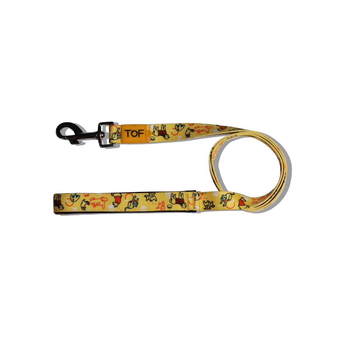 Tales of Fur It's Play - time! Snap hook leash with padded handle Large - Natural Pet Treats - Tales Of Fur