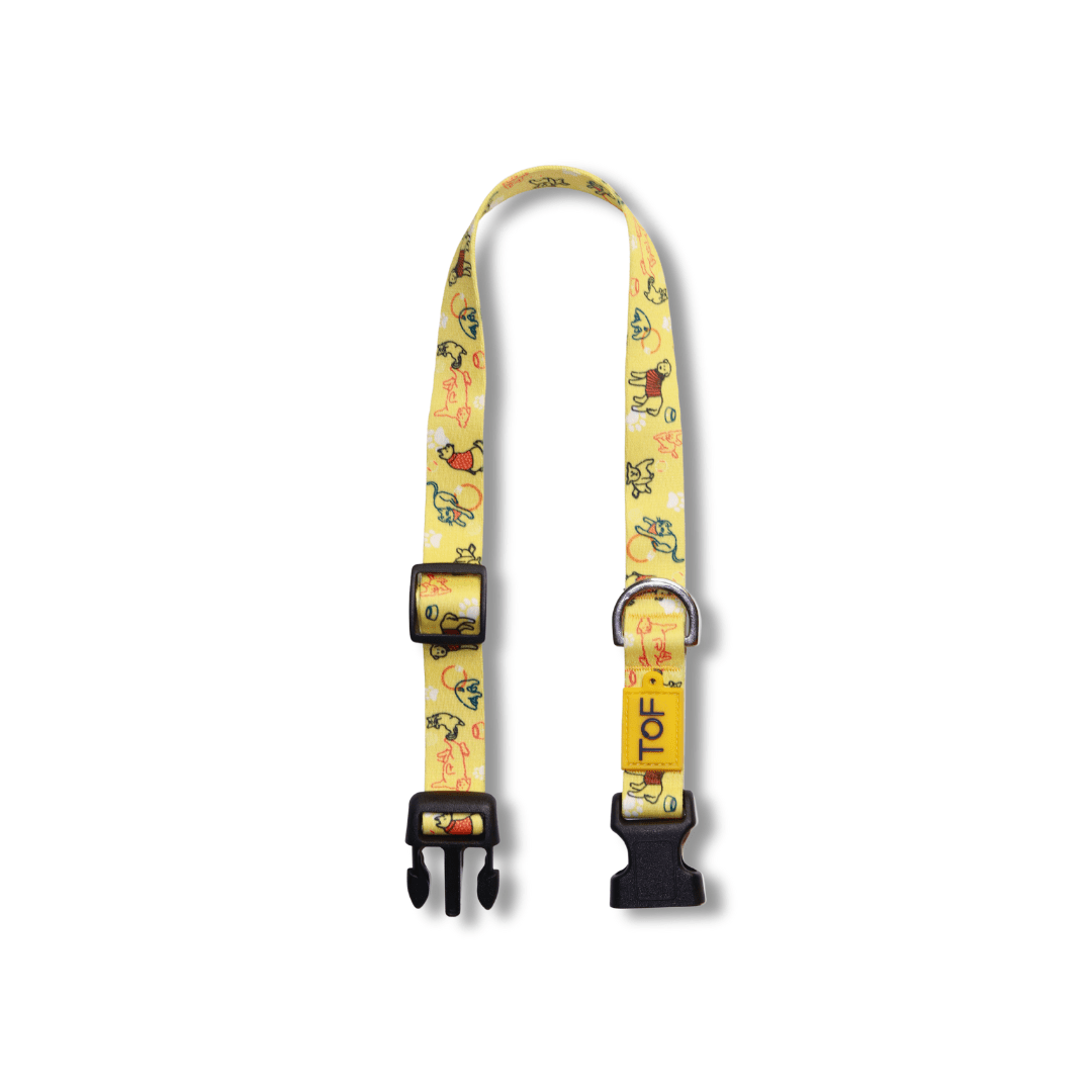 Tales of Fur It's Play - time! Plastic buckle collar with metal D - Ring Large - Natural Pet Treats - Tales Of Fur