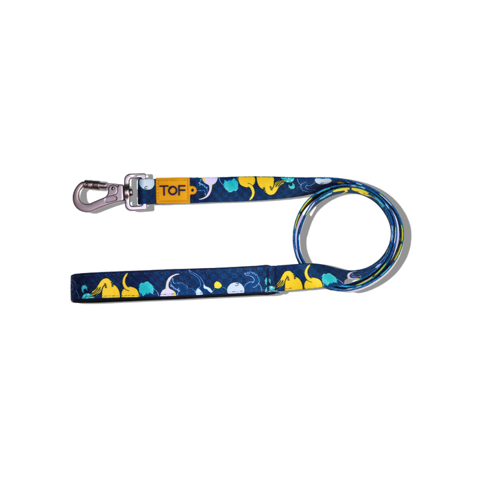 Tales of Fur Tails Ahoy! Premium carabiner leash with padded handle Small