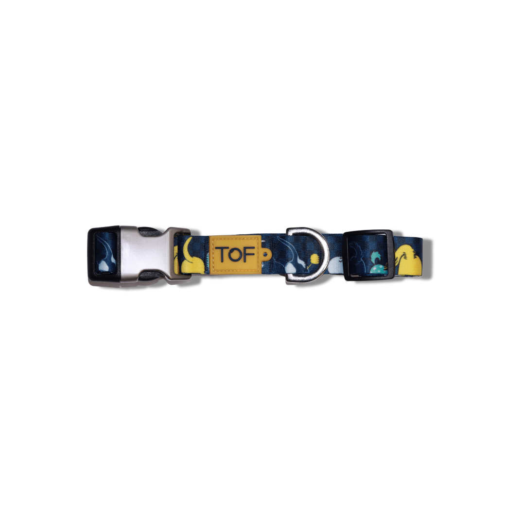Tales of Fur Tails Ahoy! Premium metal collar with D - Ring Large - Natural Pet Treats - Tales Of Fur