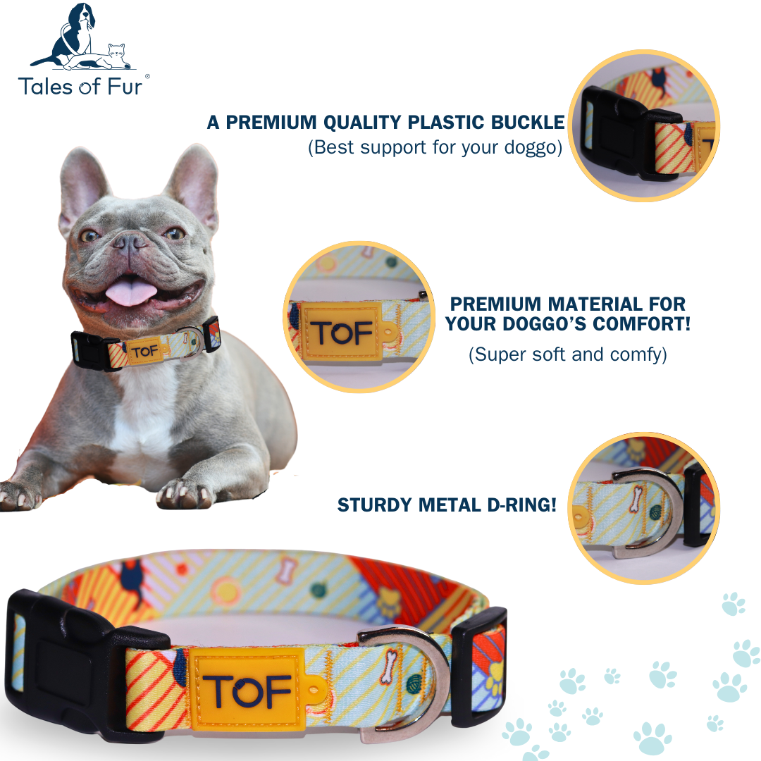 Tales of Fur Elemental Plastic buckle Collar with metal D - Ring Large - Natural Pet Treats - Tales Of Fur