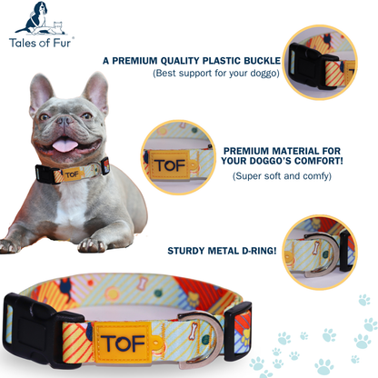 Tales of Fur Elemental Plastic buckle Collar with metal D - Ring Small - Natural Pet Treats - Tales Of Fur