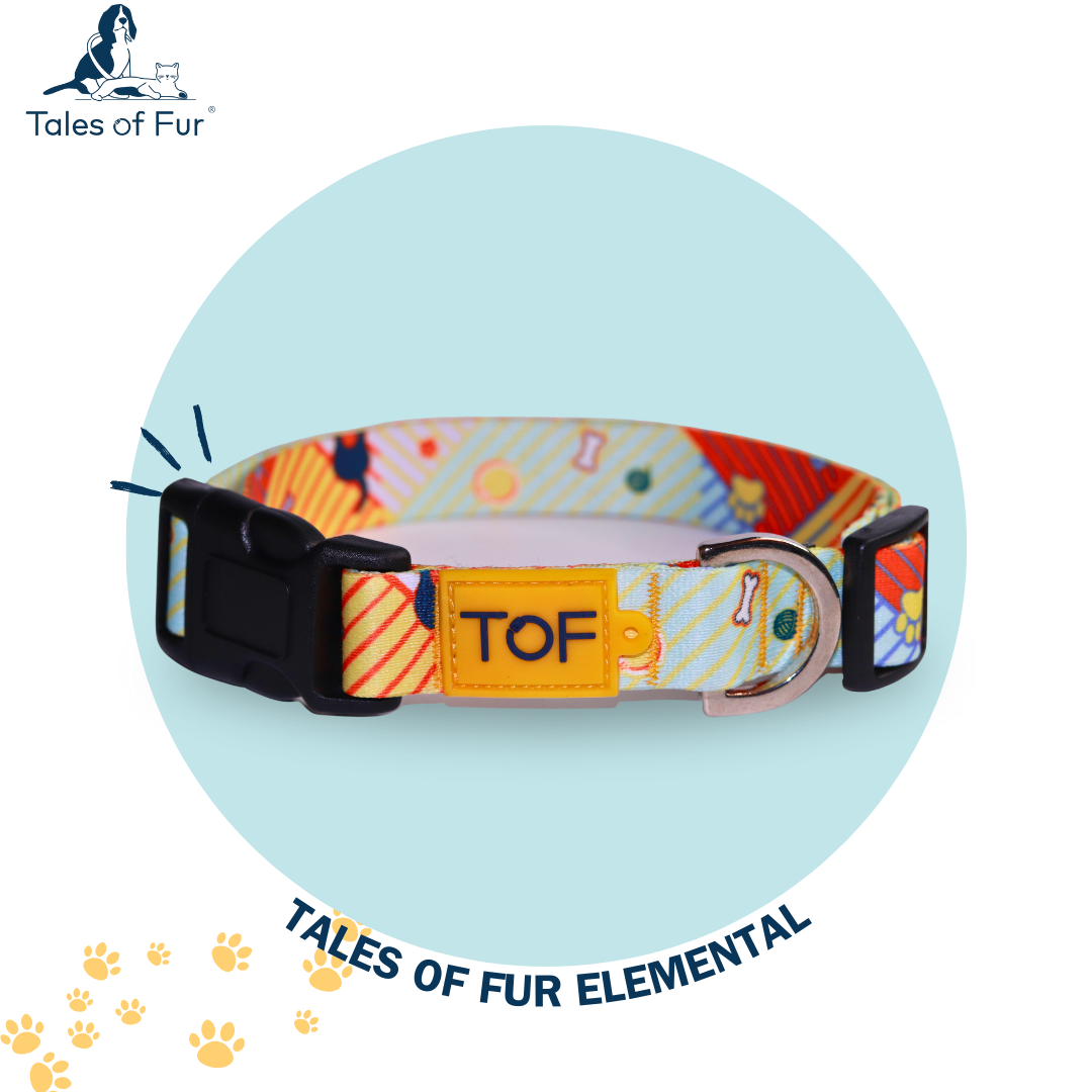 Tales of Fur Elemental Plastic buckle Collar with metal D Ring