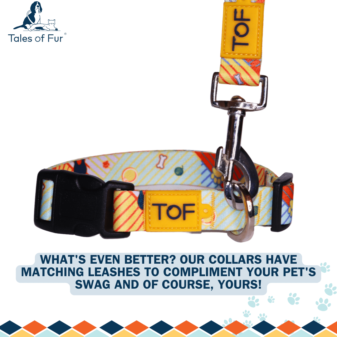Tales of Fur Elemental Plastic buckle Collar with metal D - Ring Large - Natural Pet Treats - Tales Of Fur