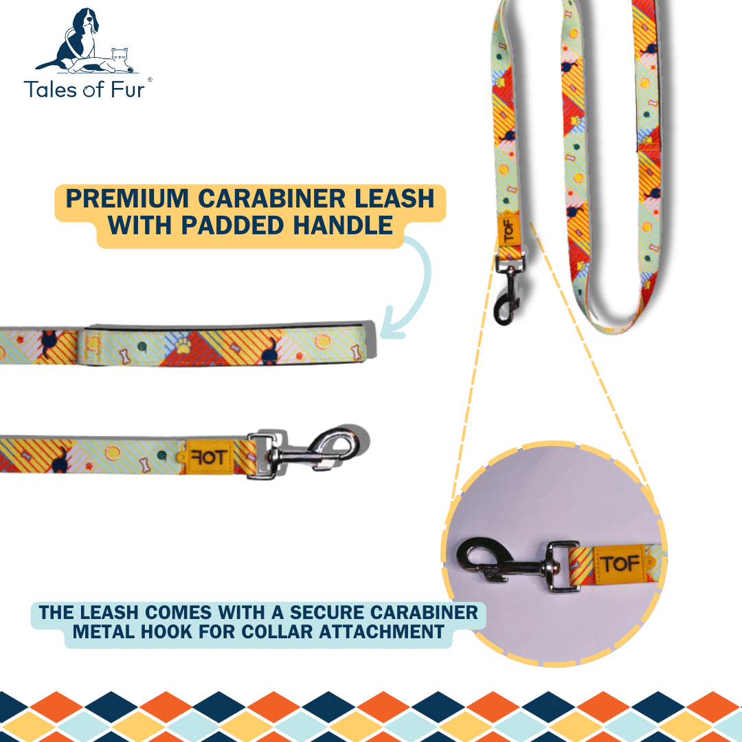 Tales of Fur Elemental Snap Hook Leash with padded handle Large - Natural Pet Treats - Tales Of Fur