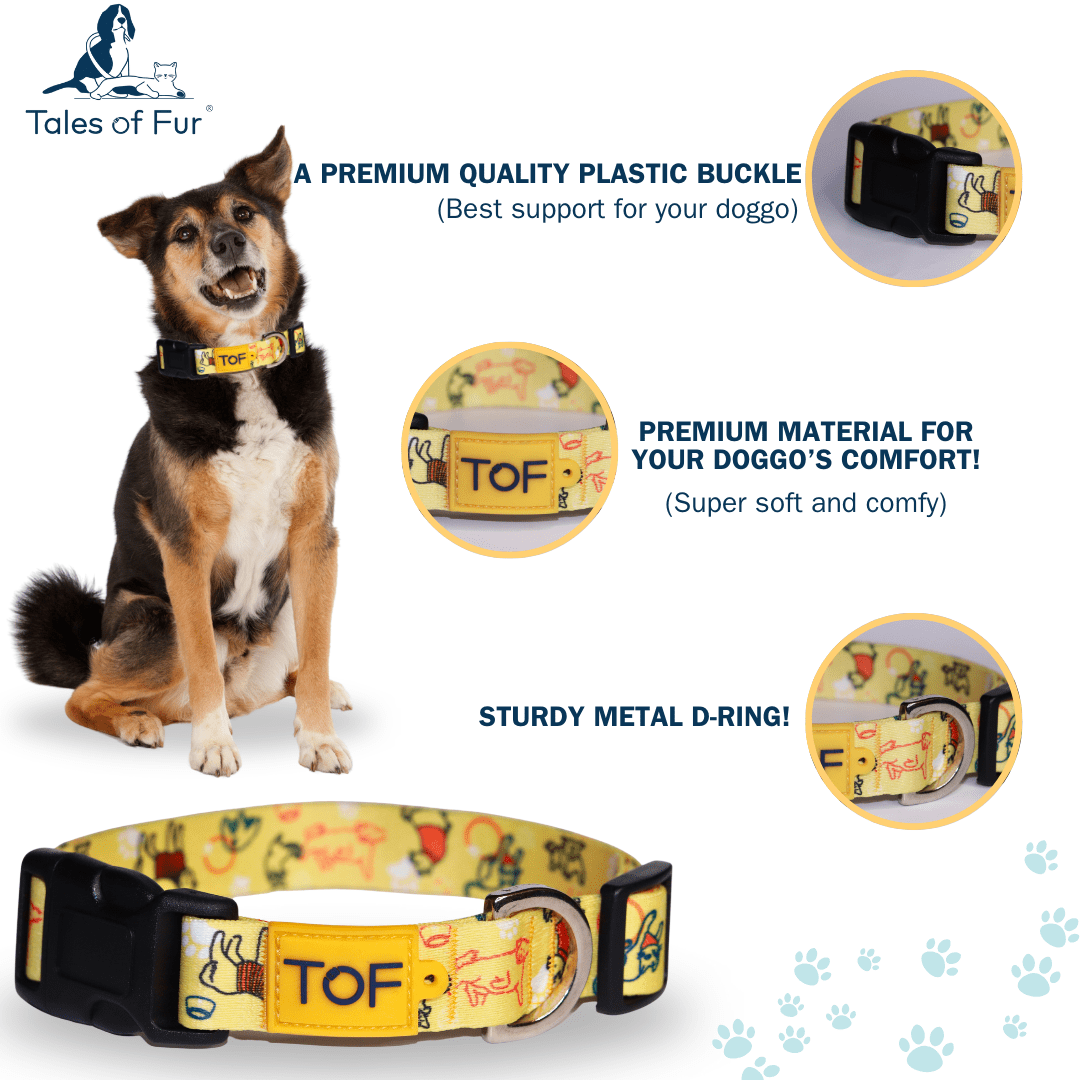 Tales of Fur It's Play - time! Plastic buckle collar with metal D - Ring Large - Natural Pet Treats - Tales Of Fur